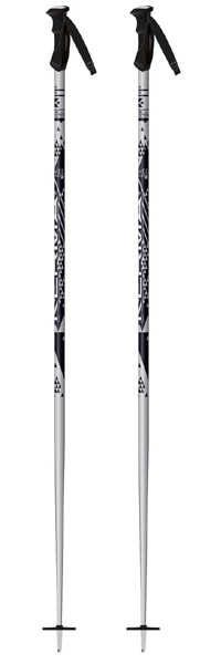Paire de Bâtons de ski Vector Silver 2016