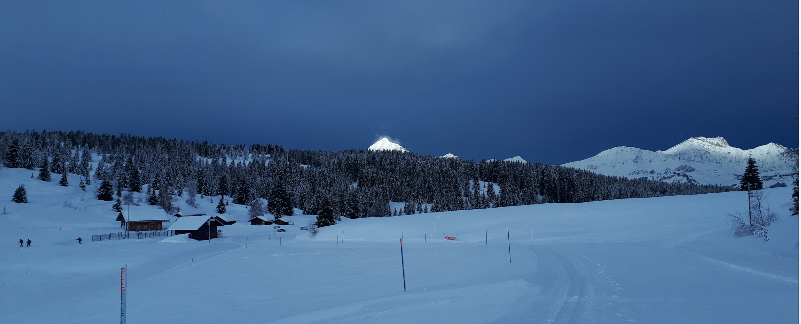 Ski Test Rossignol 2019