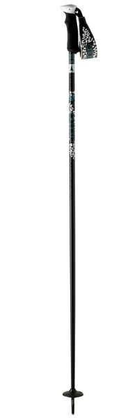 Paire de bâtons de skis CLOUD² Black/White 2015