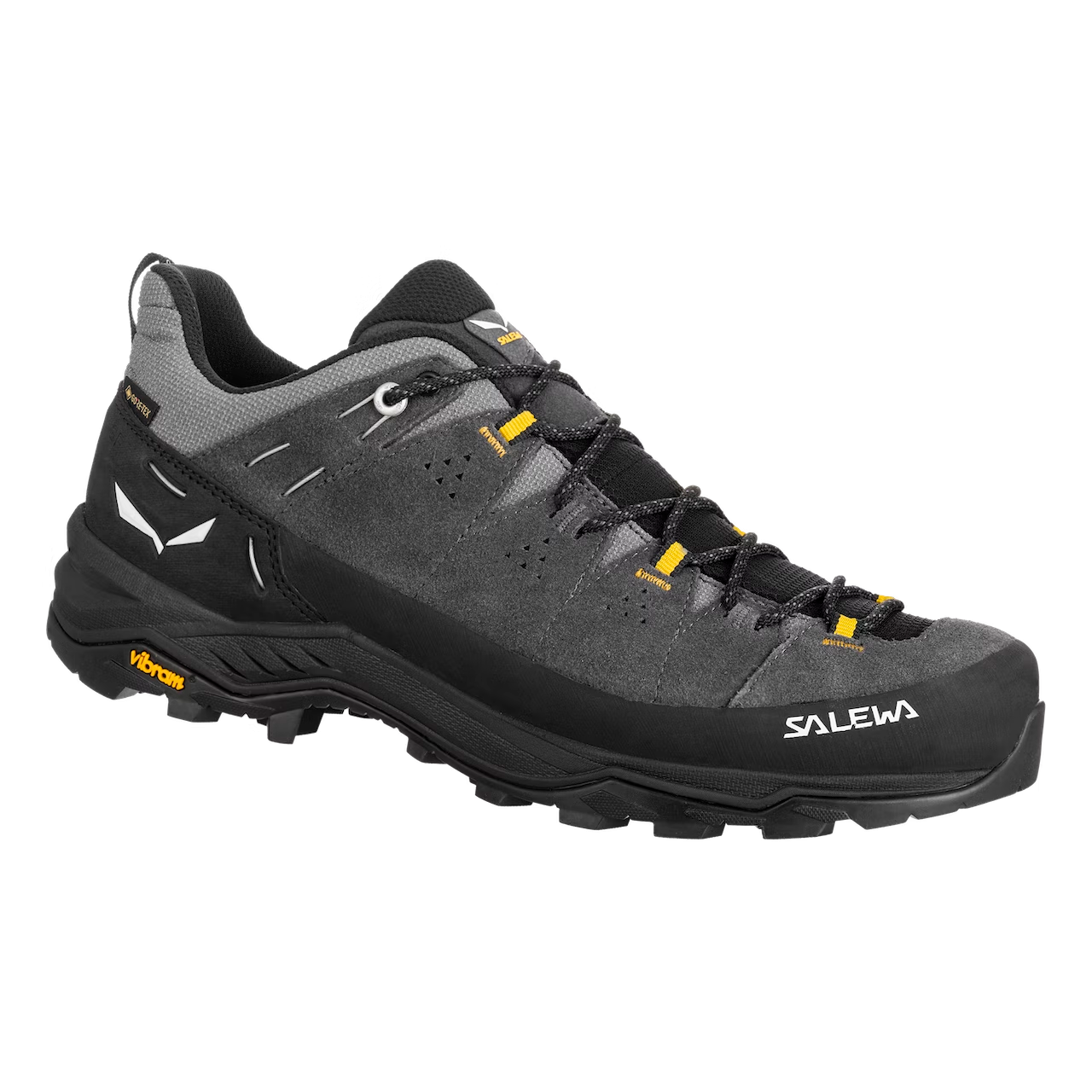 Chaussure de randonnée Alp Trainer 2 GTX -  Black Onyx - Black