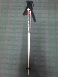 Batons Ski Pole Jr Wc Sl
