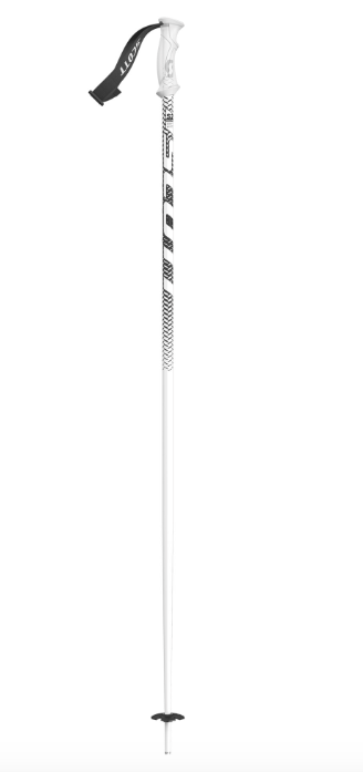 Bâtons de ski Scott Pole 540 Multi-colors