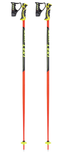 Bâtons de ski Worldcup Racing SL