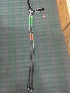 Batons Ski Pole Wc Gs Carbon