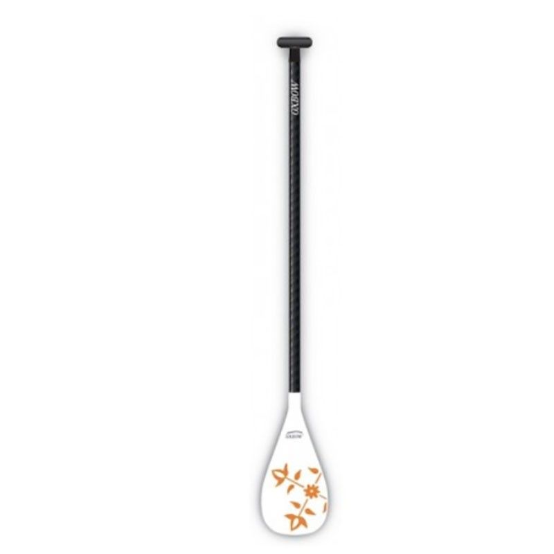 Pagaie de SUP (Stand Up Paddle) ajustable 165-205 cm performer FP